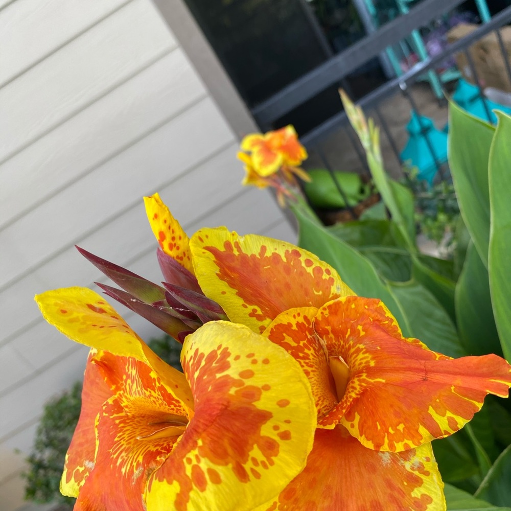 Sharing to support each other! 🌻🥰